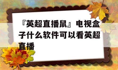 地下室直播间装修图_地下直播软件哪个好_地下城开直播配置要求