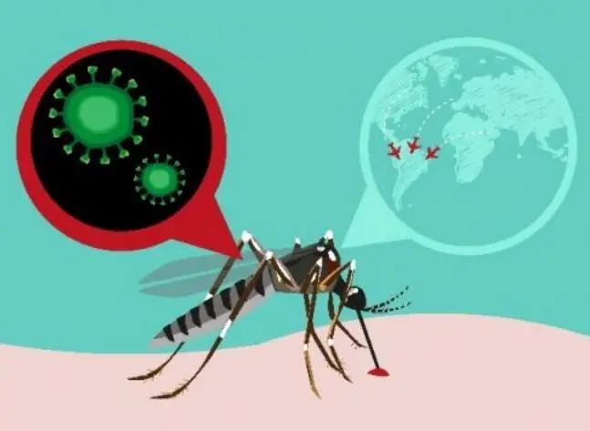 蚊子先生游戏日本_蚊子先生游戏_蚊子先生游戏解说