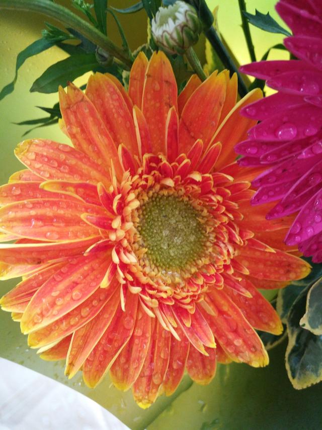 花冠游戏cg_花冠游戏猎奇_新花冠游戏