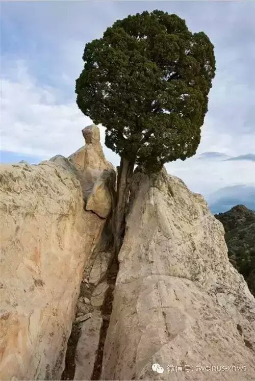 大自然中的石头意义与启示，石种类dd的奥秘解析