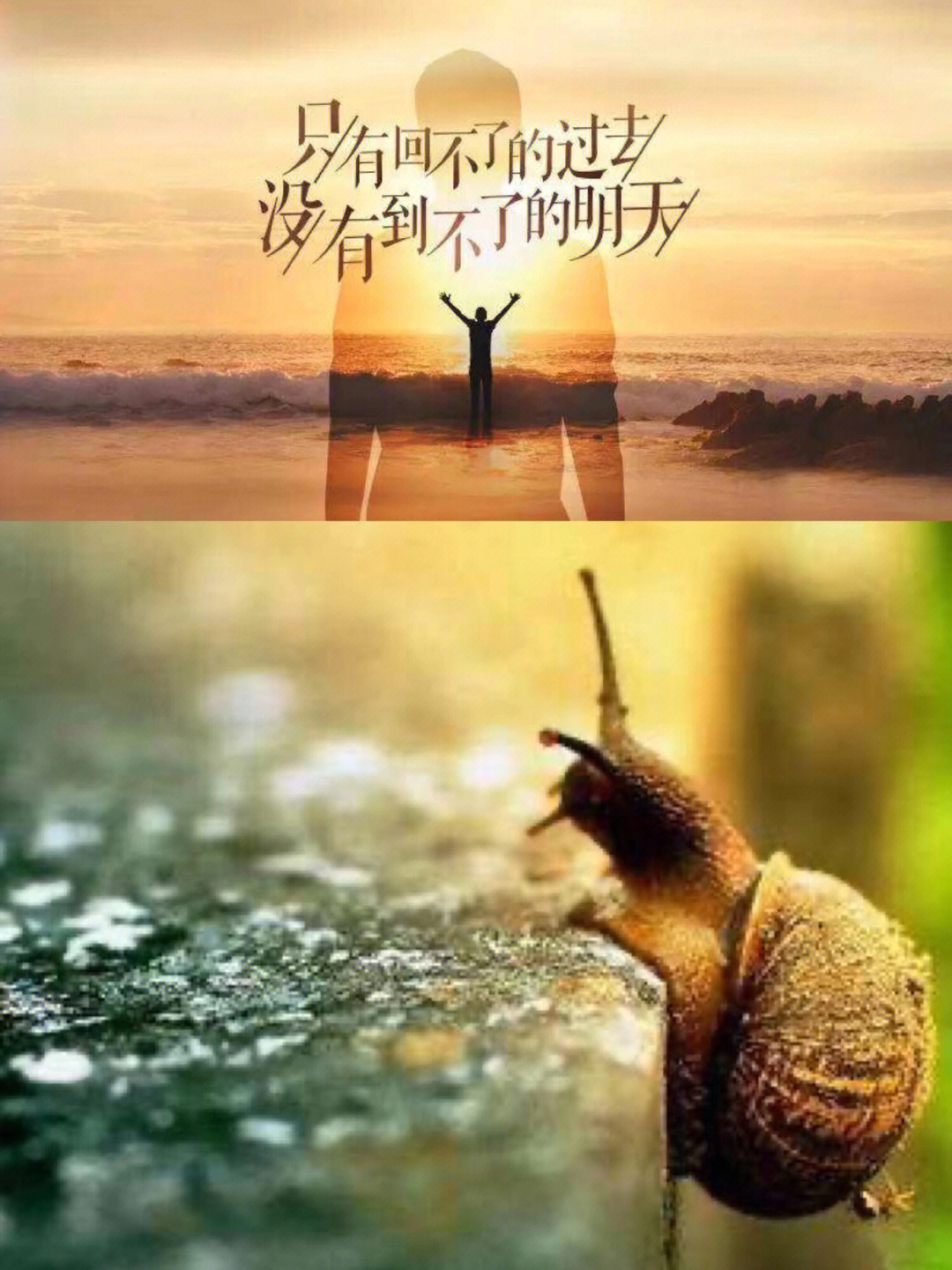 心疼却无能为力的意思_有一种心疼叫做无能为力_有种心疼叫无能为力