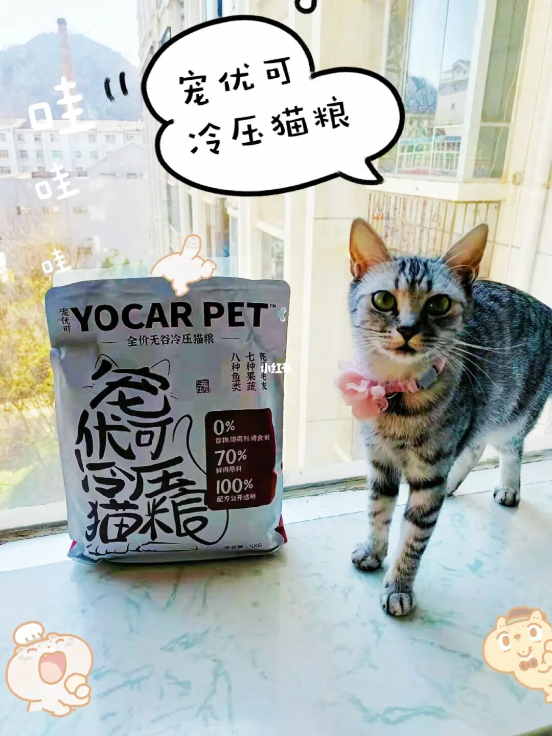 拆弹猫卡牌有哪些分别有几张_拆弹猫牌分别有几张_拆弹猫