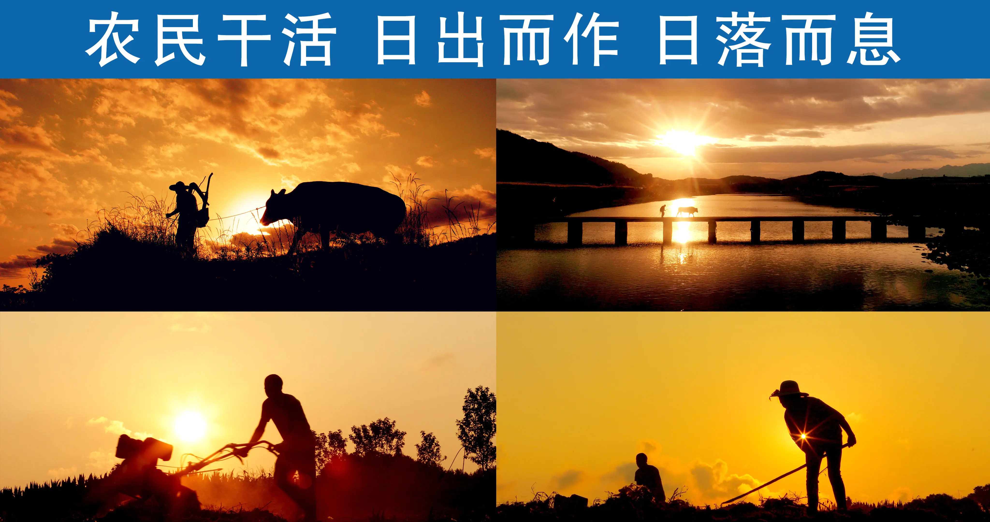 农场物语手机版下载_农场物语之矿石镇的伙伴们下载_农场物语