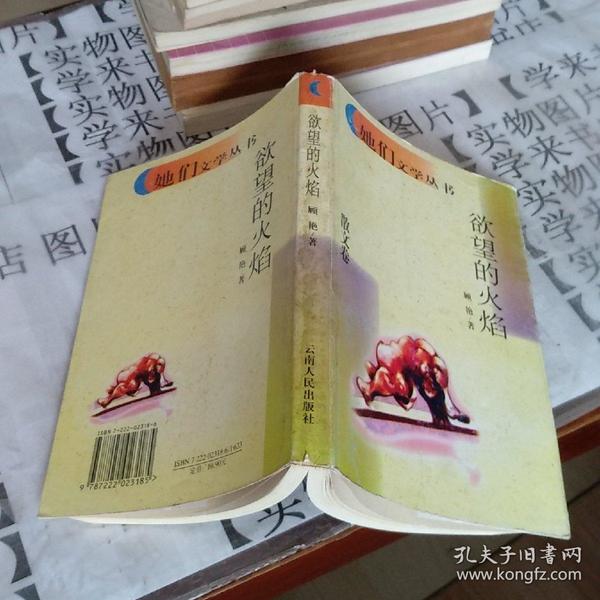 露出h文