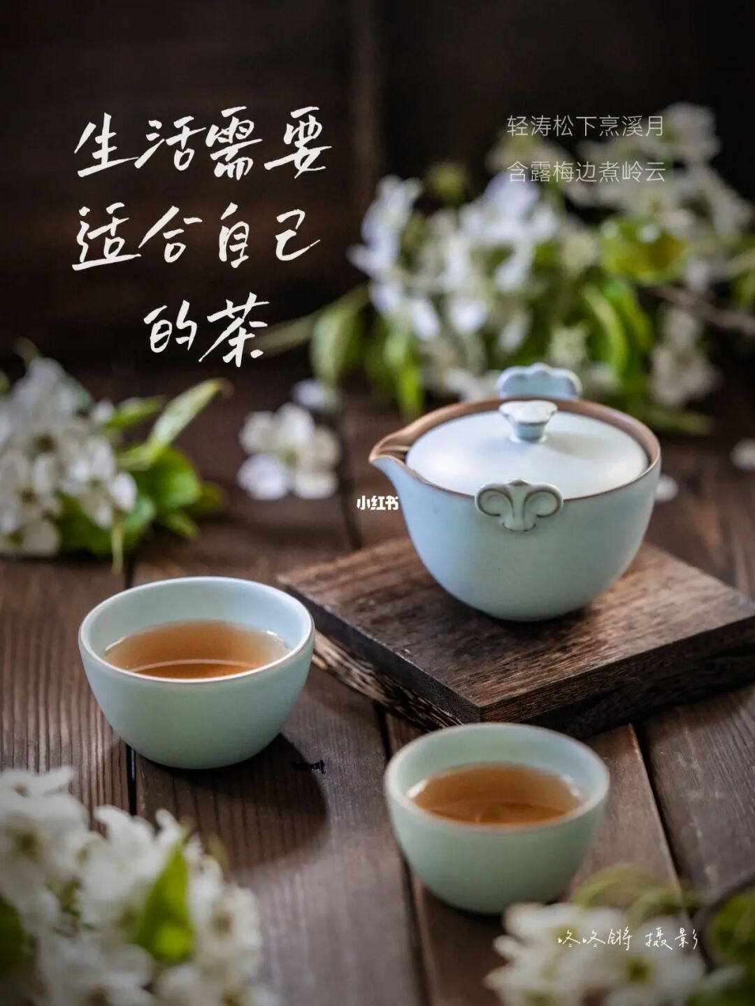 找出茶言茶语_找茶的茶怎么写_茶找一下