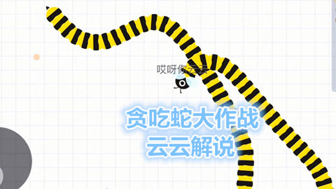 蛇蛇大作战的视频_大战蛇视频_蛇蛇大作战