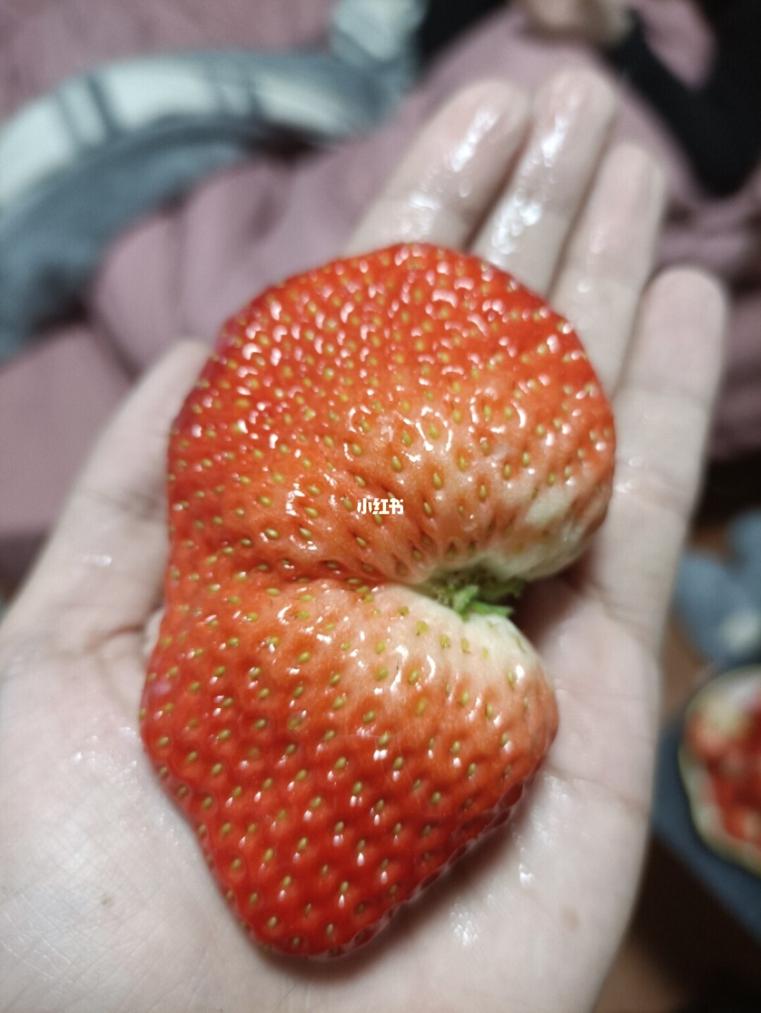 女生吃草莓是什么_吃草莓是指女生什么部位_女生吃草莓有什么好处和坏处