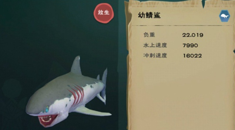 创造与魔法幼紫鲨饲料_创造与魔法幼紫鲨饲料配方_创造与魔法幼紫鲨鱼饲料