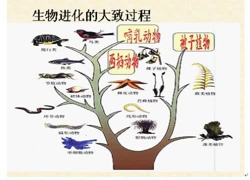 进化游戏by轻云淡TXT_进化游戏_进化游戏轻云淡