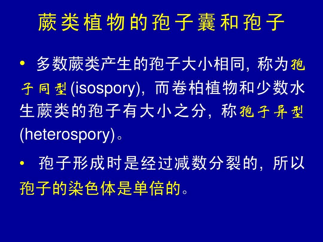 孢子配置_孢子配置要求_孢子配置高吗