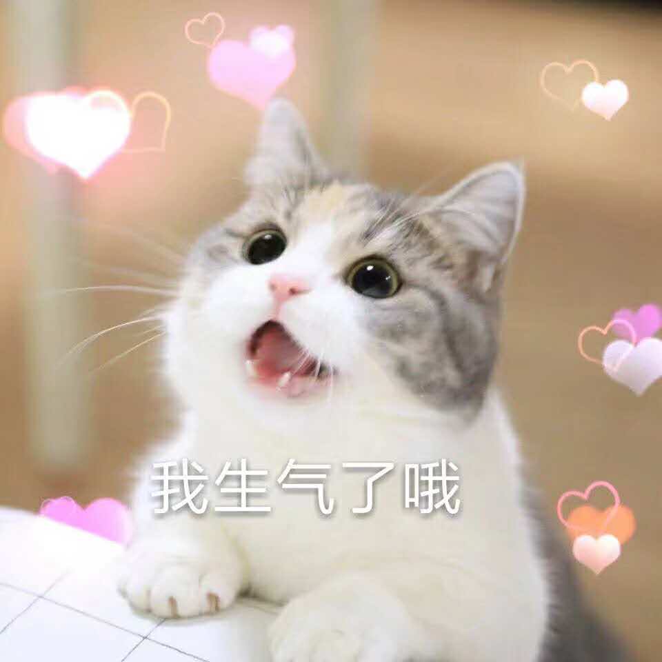 猫表情包最近很火_最近火的猫表情是谁_很火的猫表情包gif