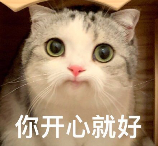 很火的猫表情包gif_最近火的猫表情是谁_猫表情包最近很火