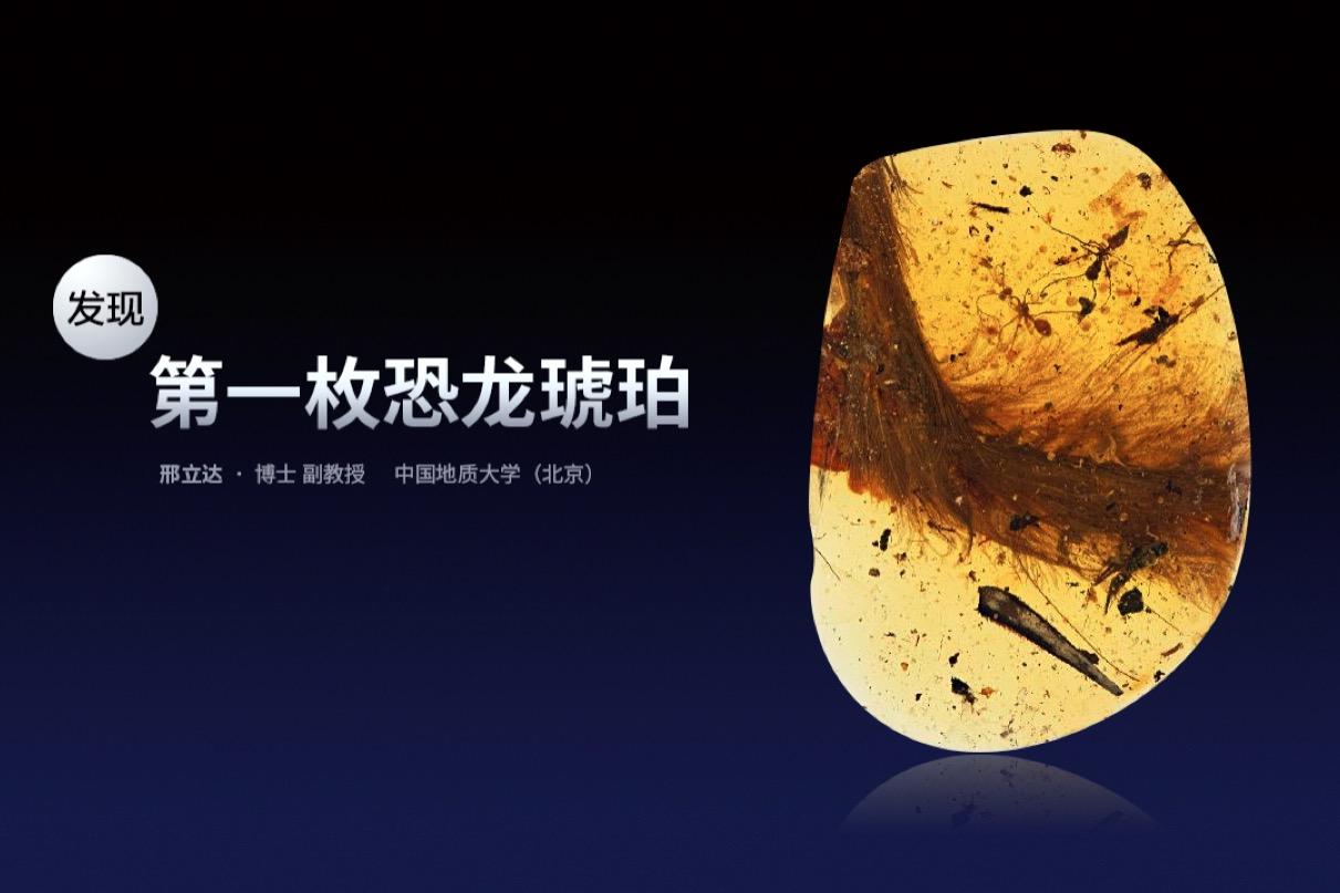 琥珀影视大全ios_琥珀影视_琥珀影视大全为什么是免费的