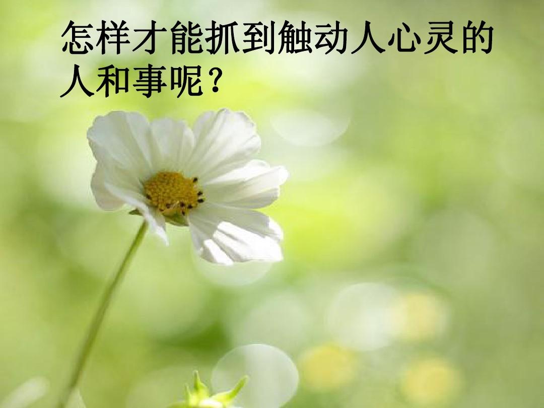 觅影国常立_觅影_觅影玲珑结