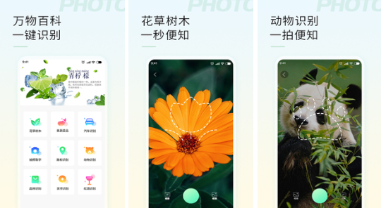 拍照搜图在线用_拍照搜图_拍照搜图片