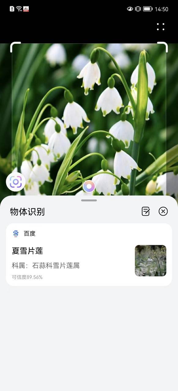 拍照搜图_拍照搜图在线用_拍照搜图片