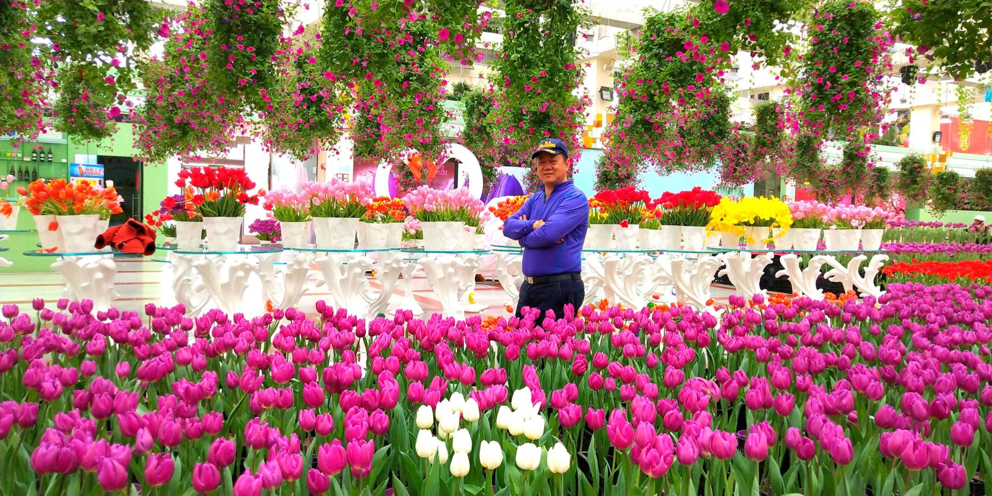 cc滤芯纳神_喜纳昌吉花_神纳花在线