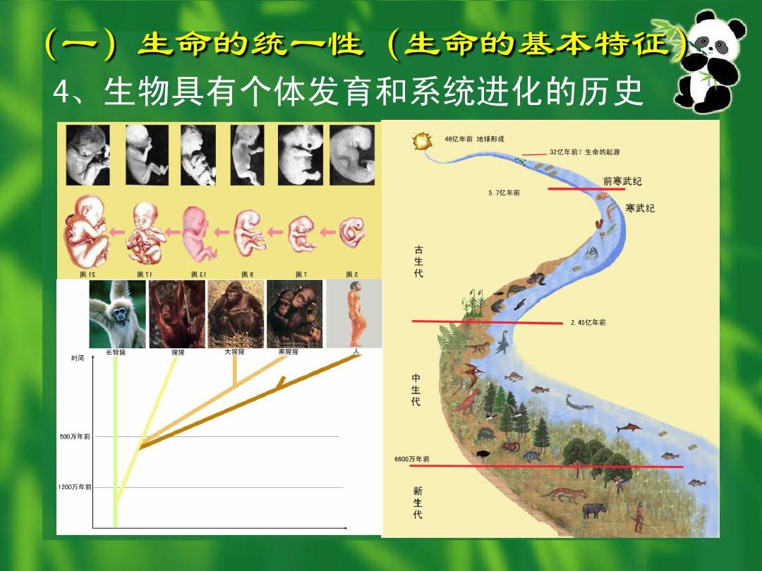 进化游戏 手机-手机进化大作：探索微观世界