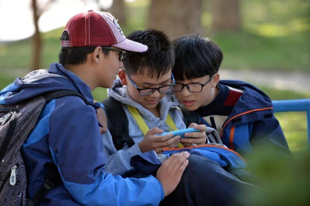 关于青少年手机的游戏_青少年手机游戏成瘾的危害_青少年手机游戏时间