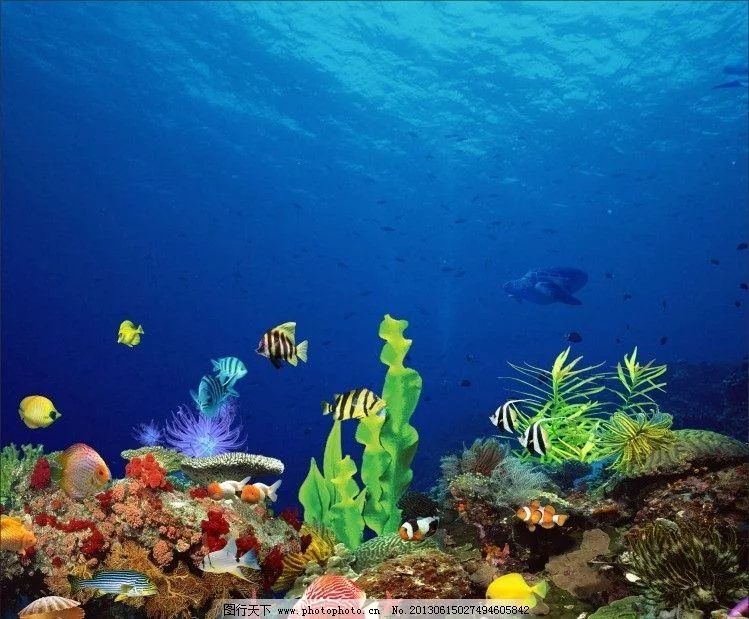 海底生存手机版_海底生存游戏手机_海底生存游戏手机版