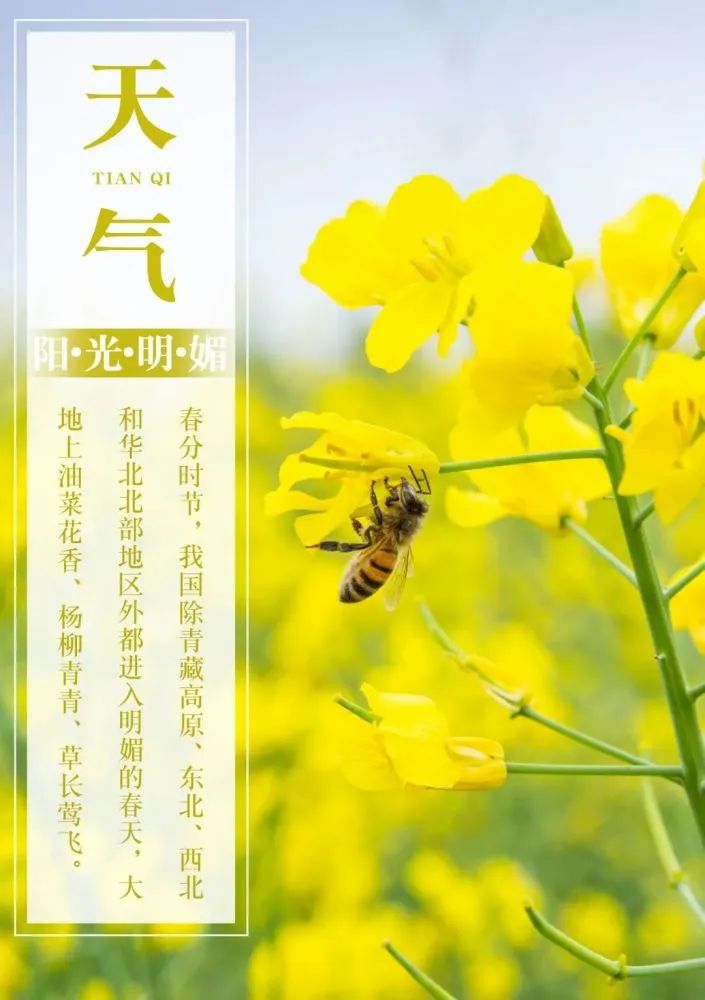 二月日历_二月二十二_二月英文