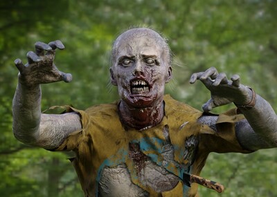 走肉行尸百科_行尸走肉游戏版手机版下载_走肉行尸是什么意思