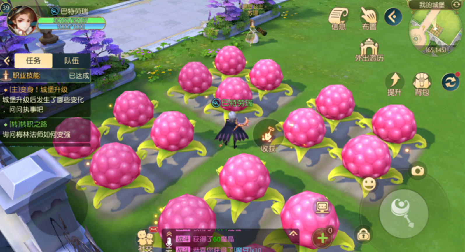 类似采集术的修仙小说_采集类似手机游戏_类似手机采集游戏