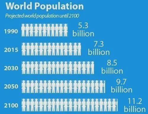 世界人口日是哪一天_世界人口每天的出生和死亡_世界人口是哪一天
