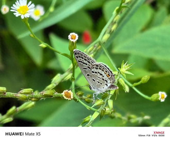 华为折叠手机可以打游戏吗_华为折叠屏手机打游戏_华为折叠手机打游戏怎么样