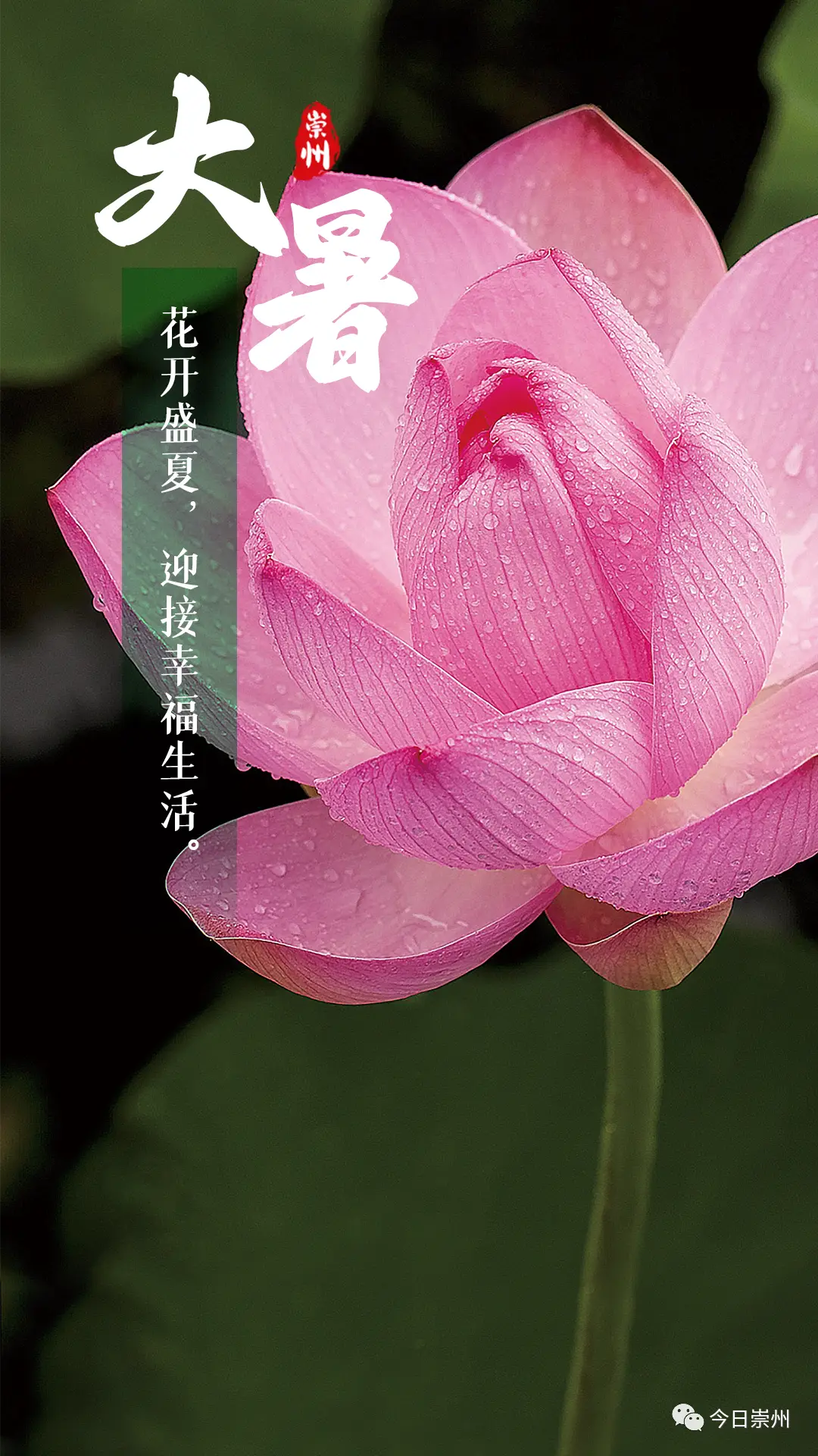 三伏天中伏热还是末伏热_三伏天哪一伏最热_三伏天初伏热还是中伏热
