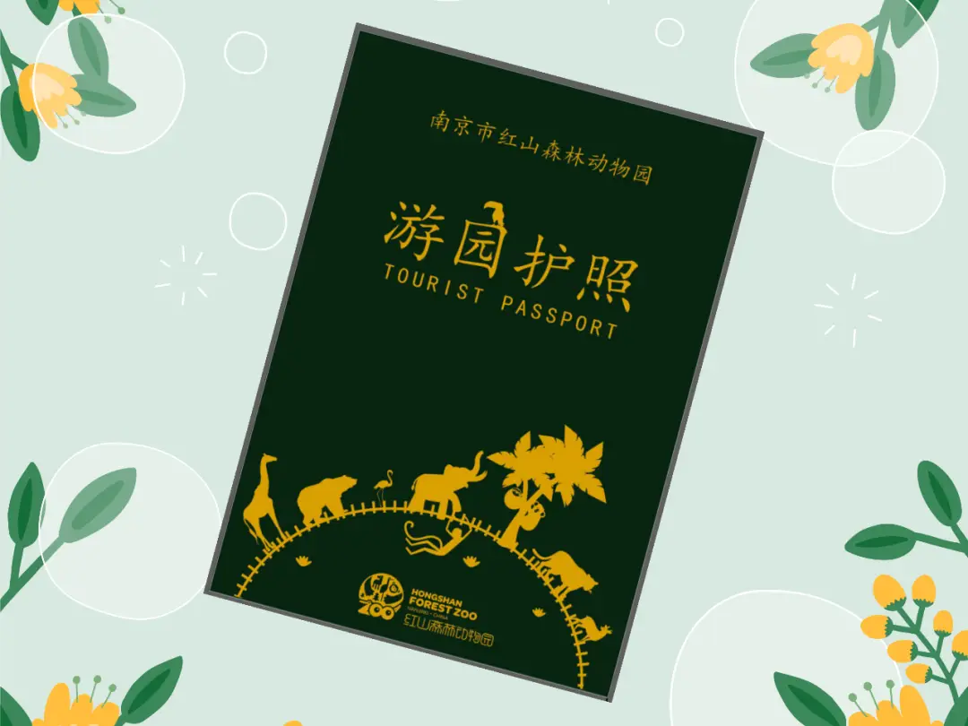 能建动物园的手机游戏下载_建造动物园的手机游戏_可以玩的动物园