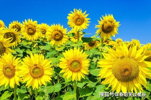积极的生活吧-拥抱积极生活，让阳光活力充满生活