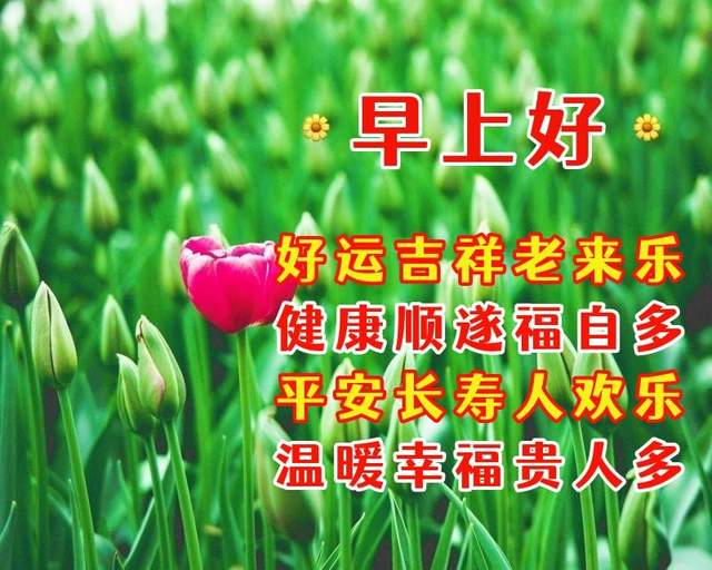 5月12日_月经_月亮