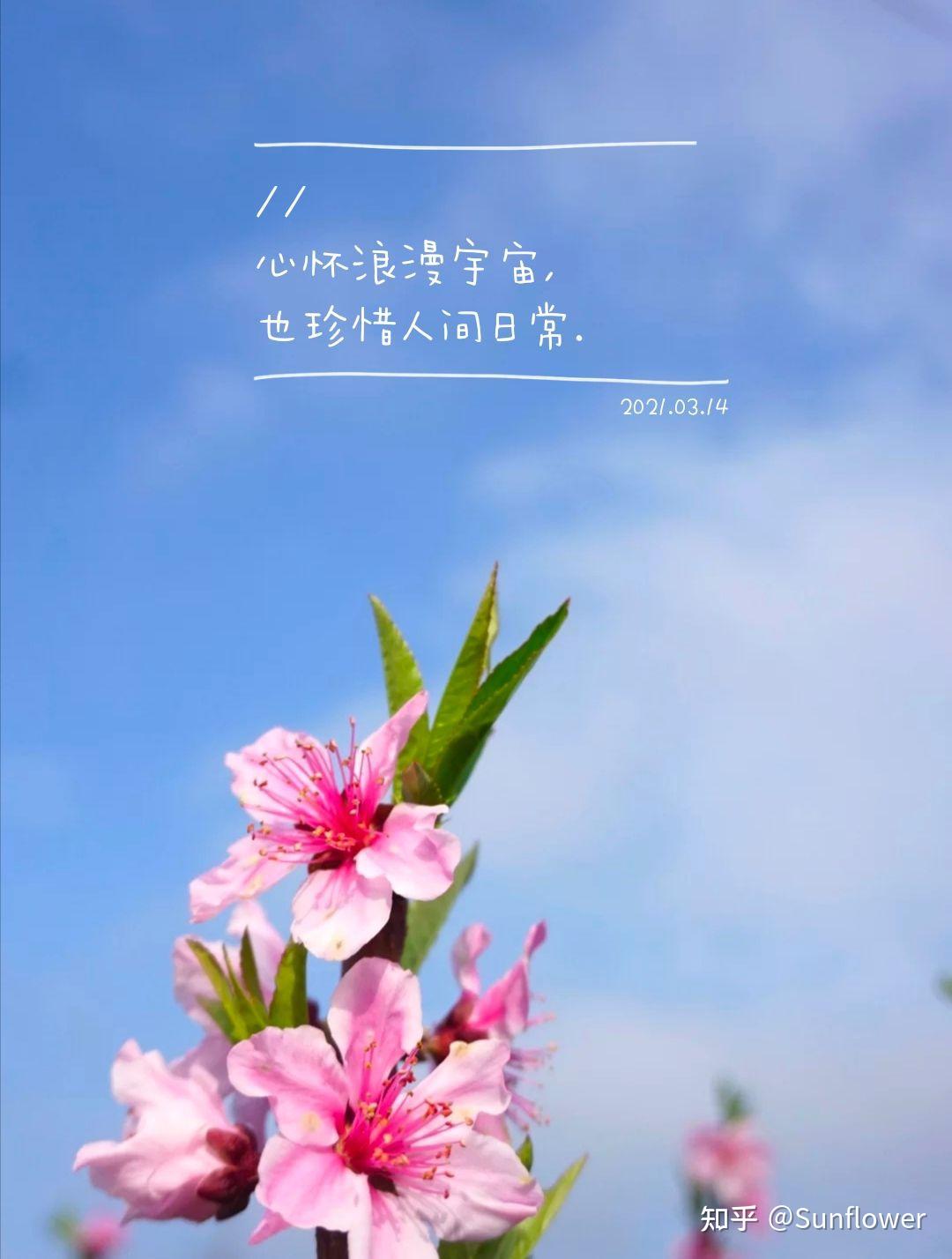 小山茉美：如春天微风般清新自然的独特存在