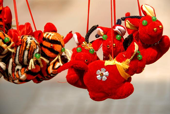 五毒月的五毒_五毒月九毒日是什么意思_5毒月是什么意思