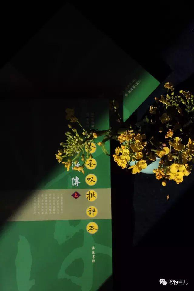 仲春时节_仲春时节的意思_什么是仲春时节的先声