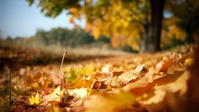 屏蔽发现新硬件声音_怎样发现qq被屏蔽了_屏蔽qq可以看到空间吗