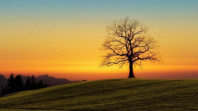 攸宁的寓意_攸宁怎么读_攸宁