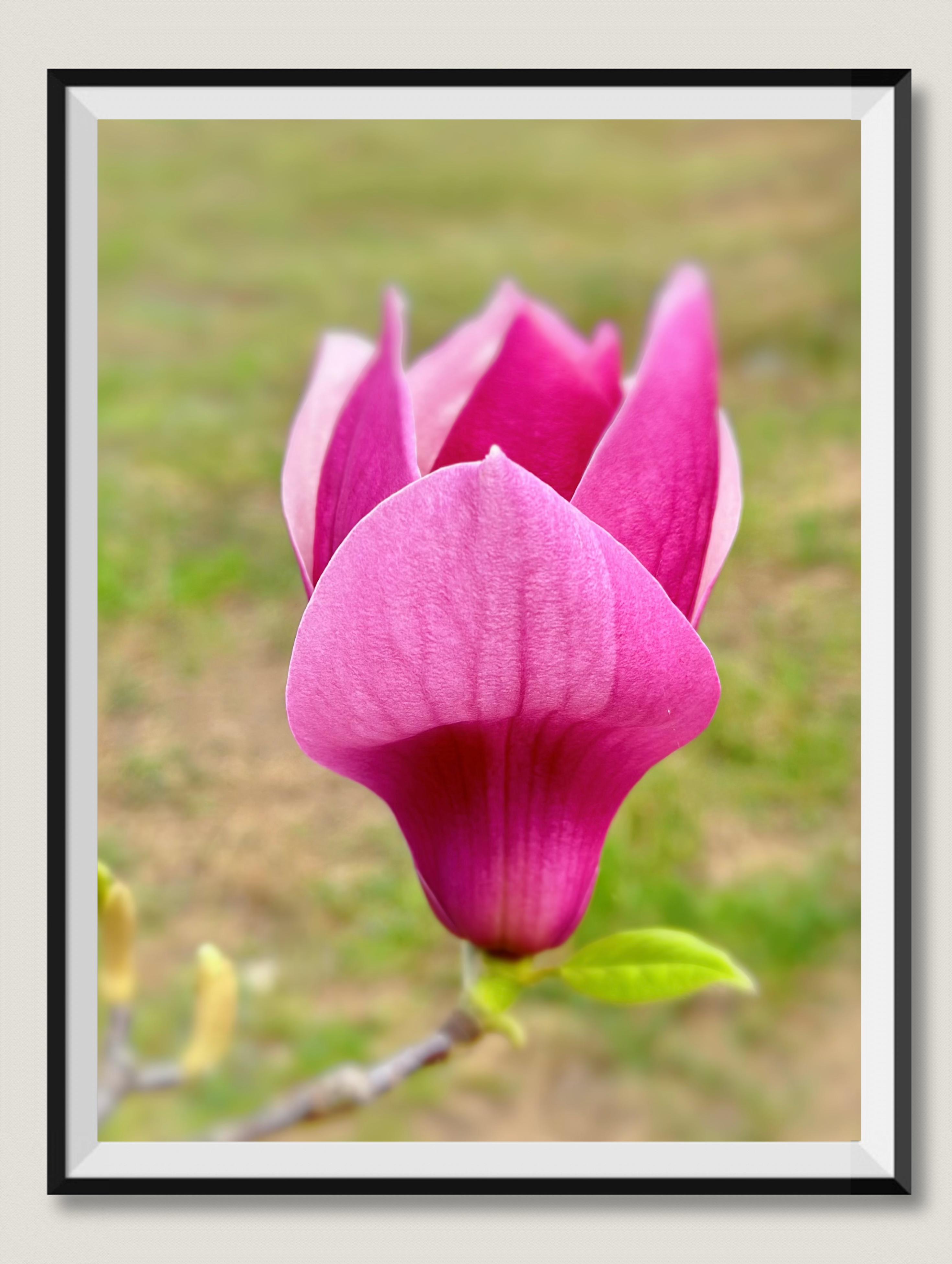 江楠楠_江楠楠_江楠楠