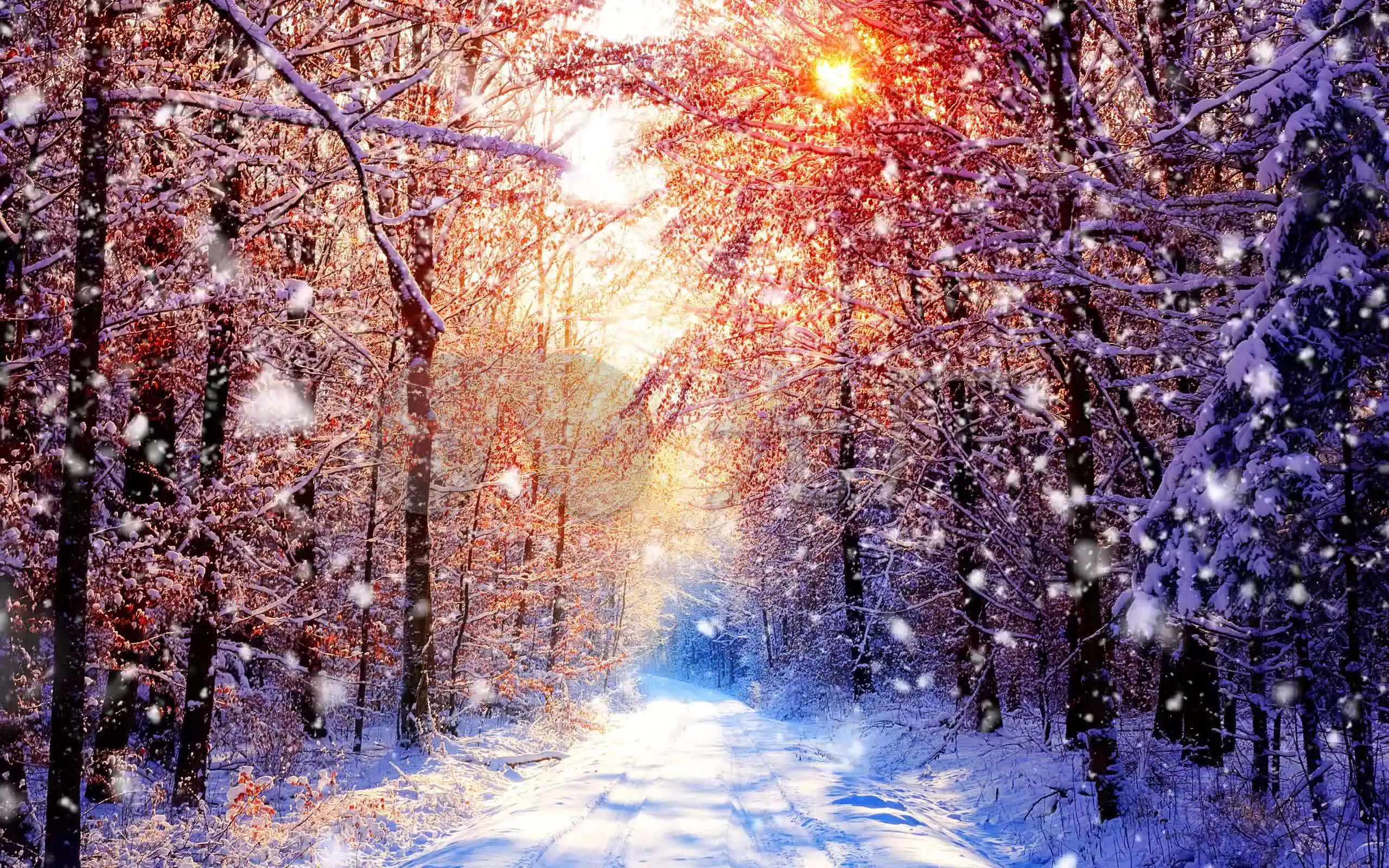 江楠楠_江楠楠_江楠楠