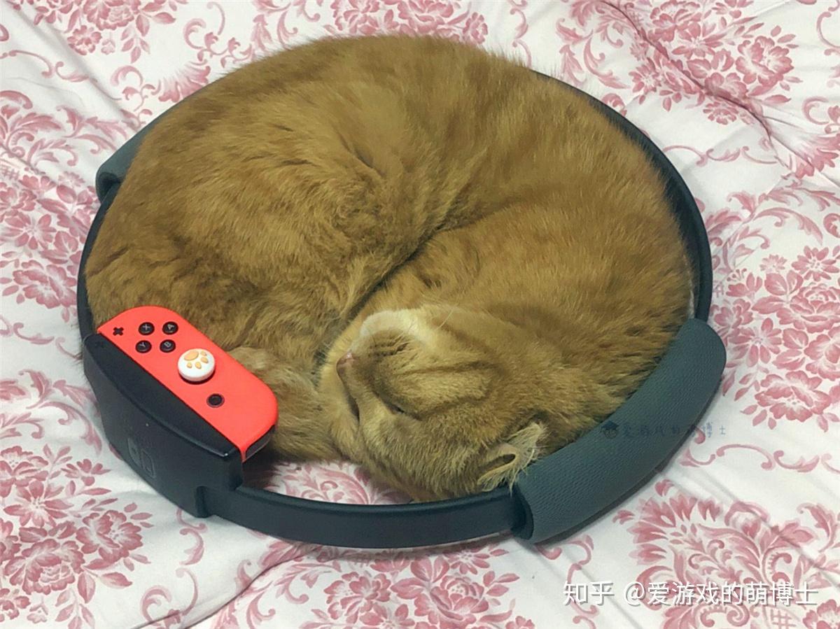抓鱼猫怎么玩_猫抓鱼的手机游戏_抓猫鱼手机游戏怎么玩
