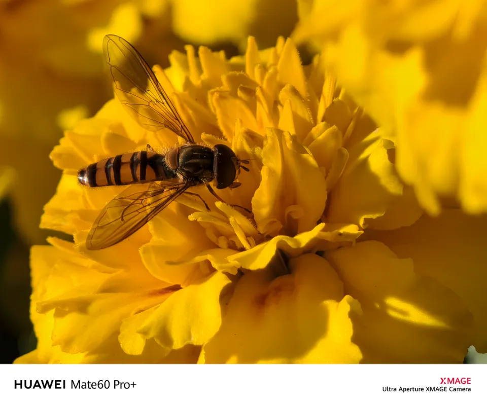 直播支持手机游戏软件_直播支持手机游戏有哪些_哪些手机支持直播游戏