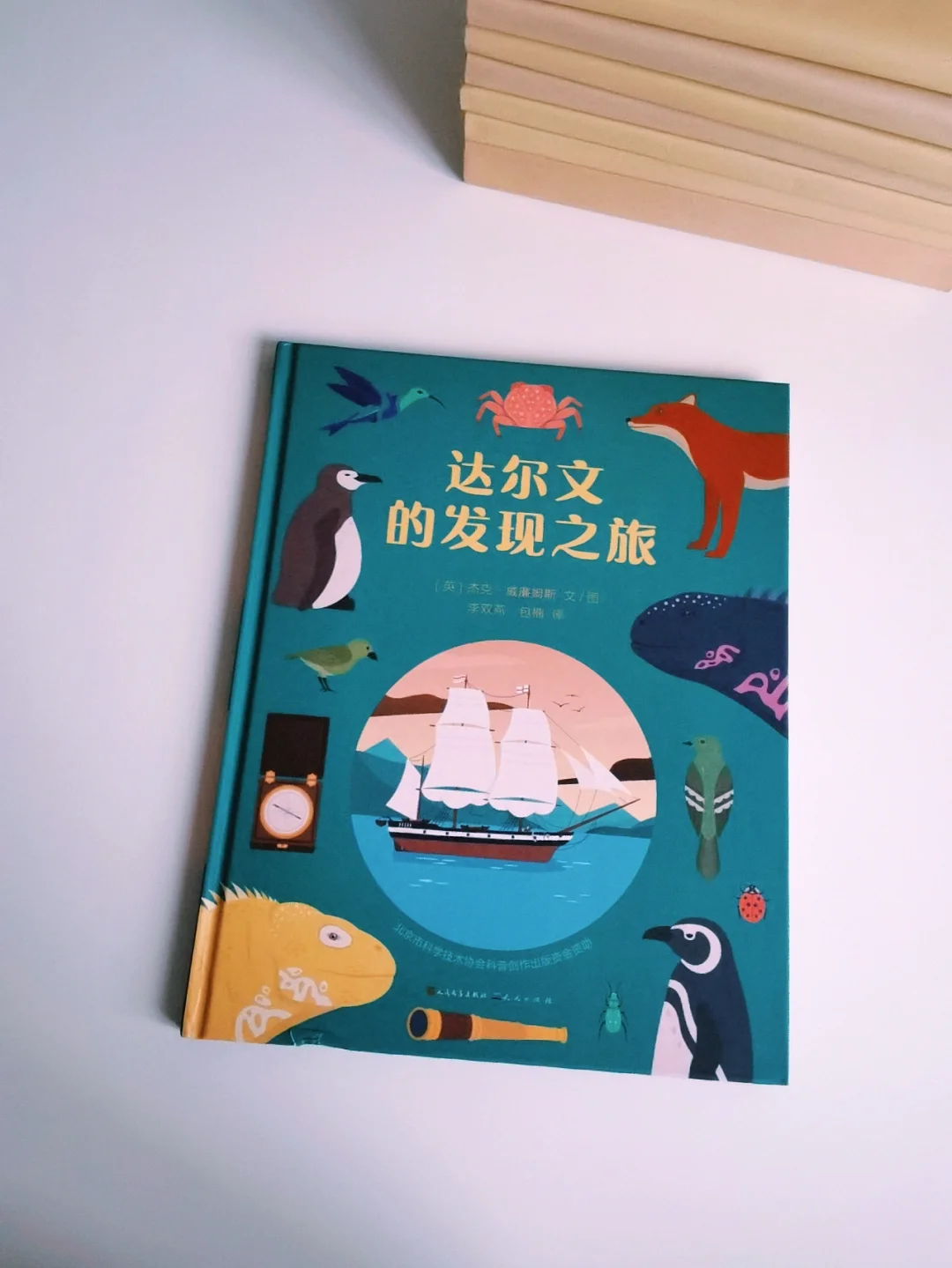 进化英文_进化英文_进化英文