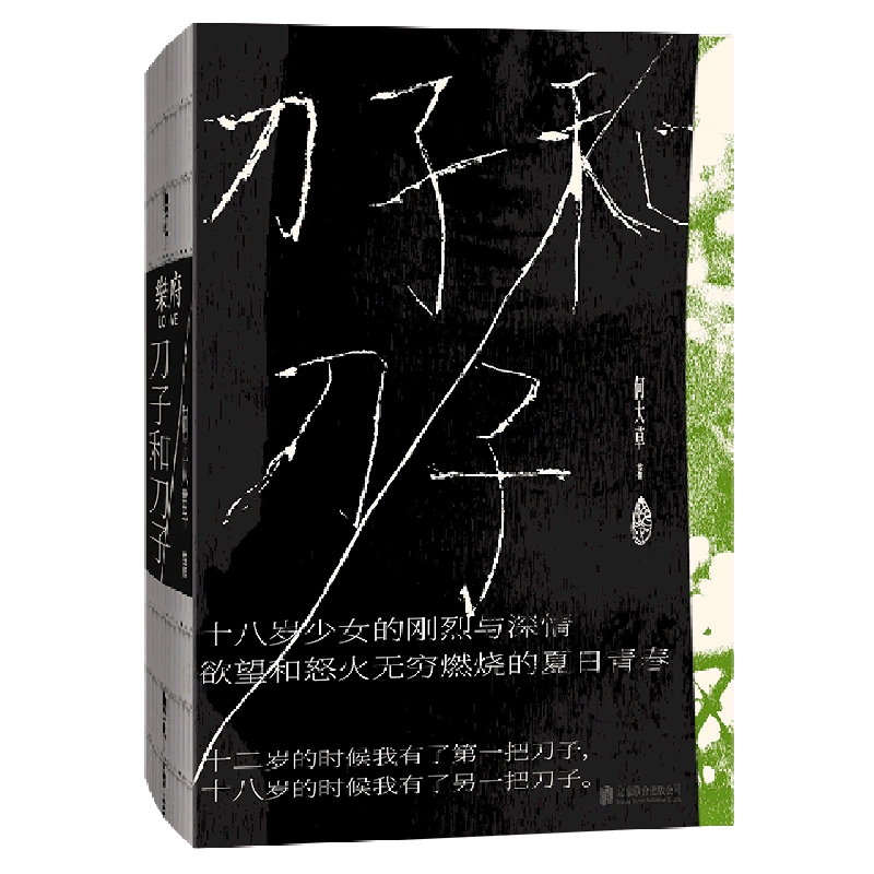 塔子_屋塔房王世子女主角的鞋子_黑塔子生桩图片