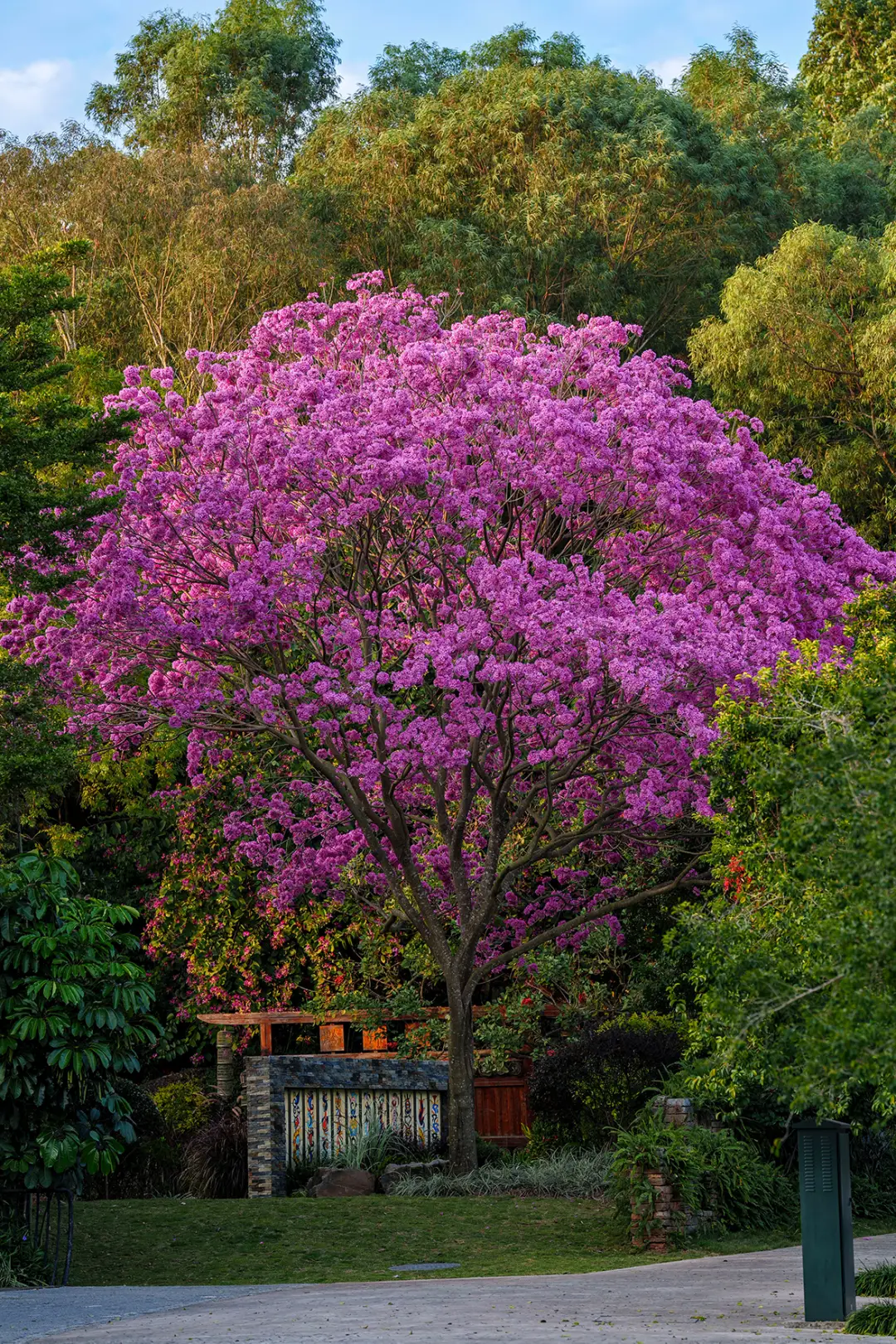 猴子沙滩奔跑表情包_黑猴子沙滩游戏最新版2020_黑猴子沙滩游戏苹果手机版