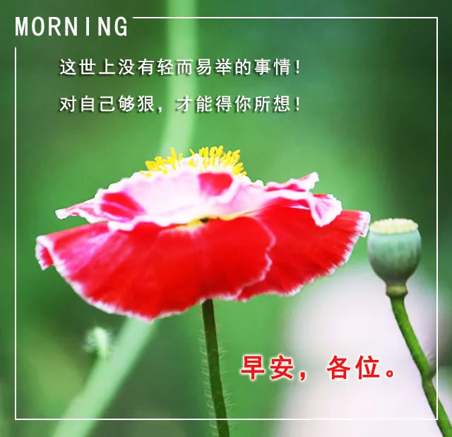 人若有情死的早程明杰_早八是什么意思_早人
