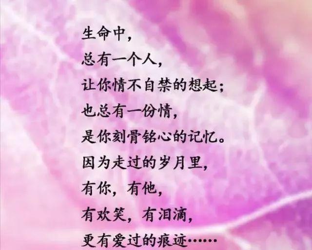 朱音ゆい_朱音结衣种子_朱音结衣作品