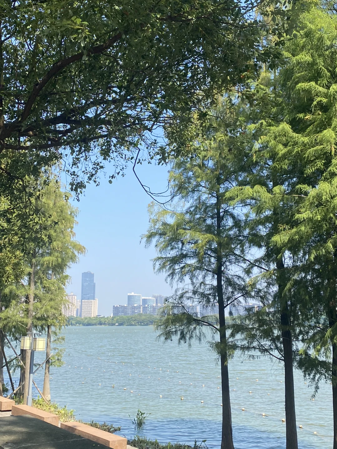 卢恒宇和李姝洁工作室现状_卢恒宇与李姝洁_卢恒宇