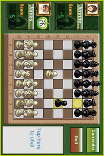 国际象棋的游戏