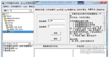 安卓主系统anriod文件改名,实现应用个性化与安全防护的秘籍